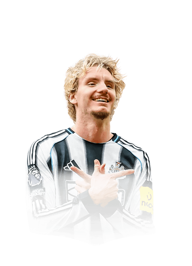 نيك وولتمايد