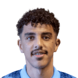 Abdulmalek Al Ayeri