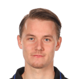 Noel Milleskog