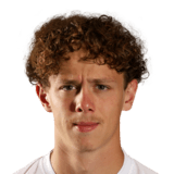 Phoenix Scholtz