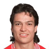 جاري ليتيمانين
