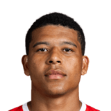 Vinicius Lopes