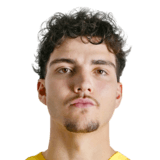 Tiago Pereira Cardoso