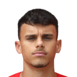 Gustavo