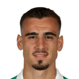 Andrija Radulovic