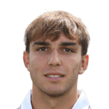 Mihajlo Cvetkovic