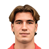 Nicolo Radaelli