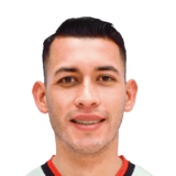 Luis Demiquel