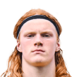 Elvis Van Der Laan