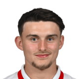 Dominik Biniek