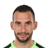Cristian Nedelcovici