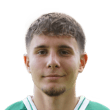Altin Ibisi