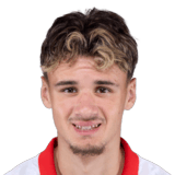 Kerim Alajbegovic