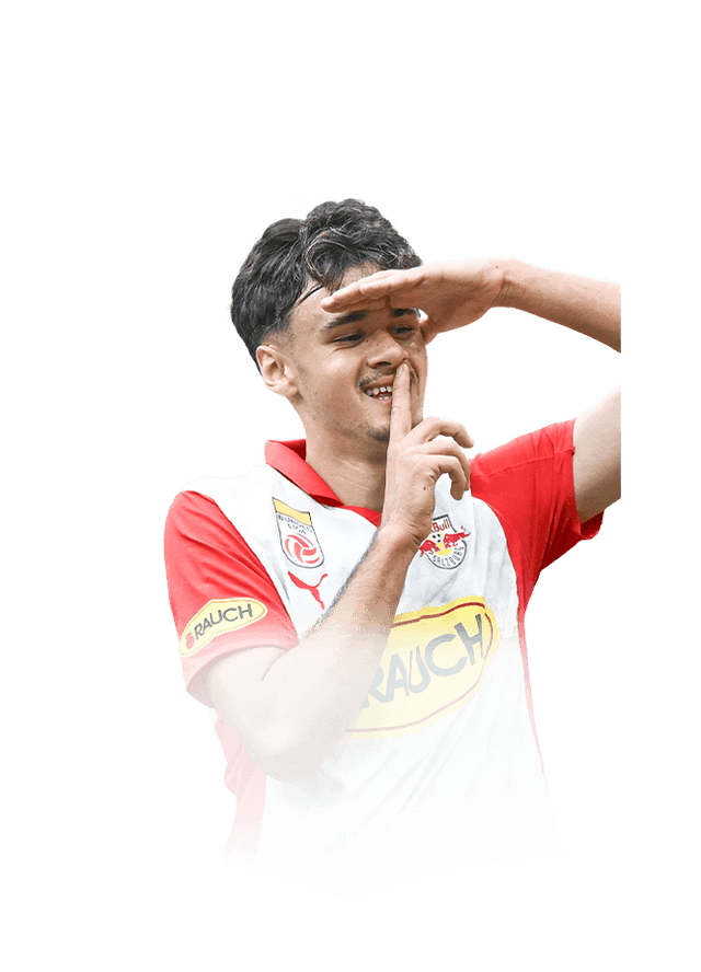 Kerim Alajbegovic