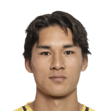 Taishi Brandon Nozawa