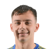 Raul Bucur