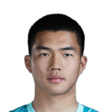 Wang Hanyi