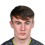 Alex Noonan