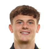 Will Lankshear