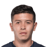 Gonzalo Álvez