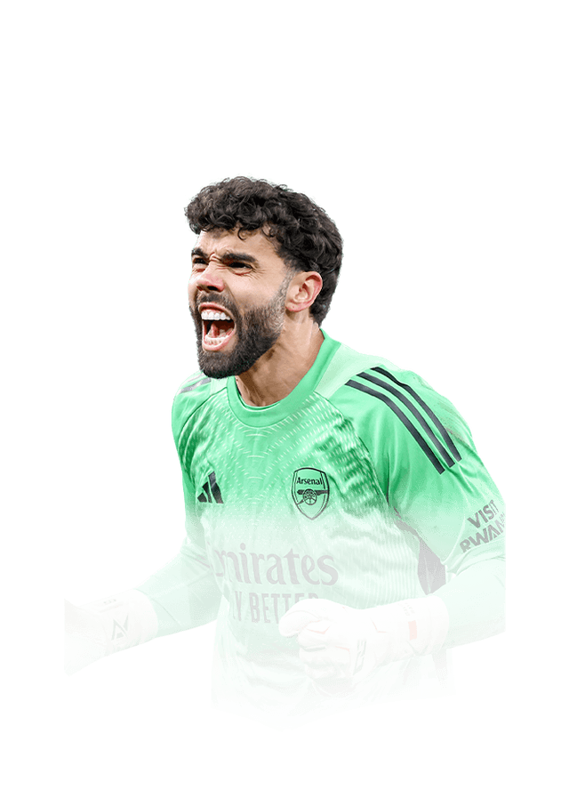 ديفيد رايا