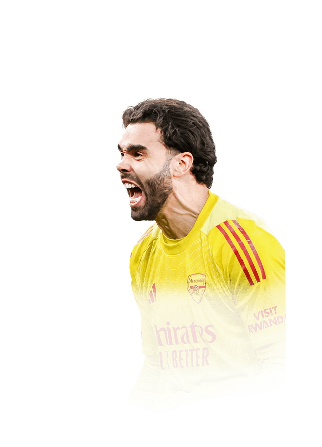 ديفيد رايا
