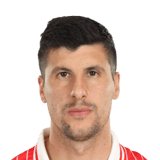 Stipe Perica
